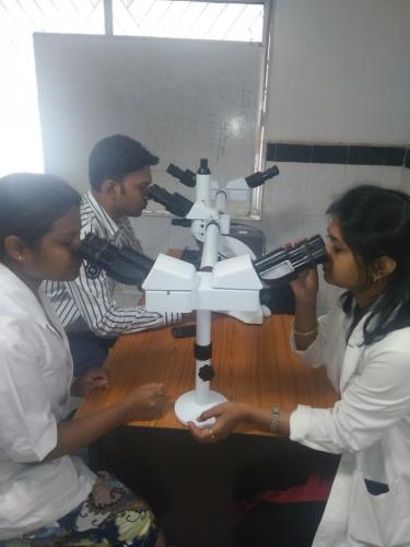 Research Penta Head Microscope